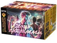 Гвоздь программы