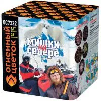 Мишки на севере